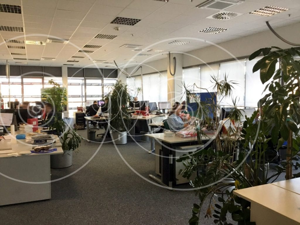 Raumakustik Großraumbüro