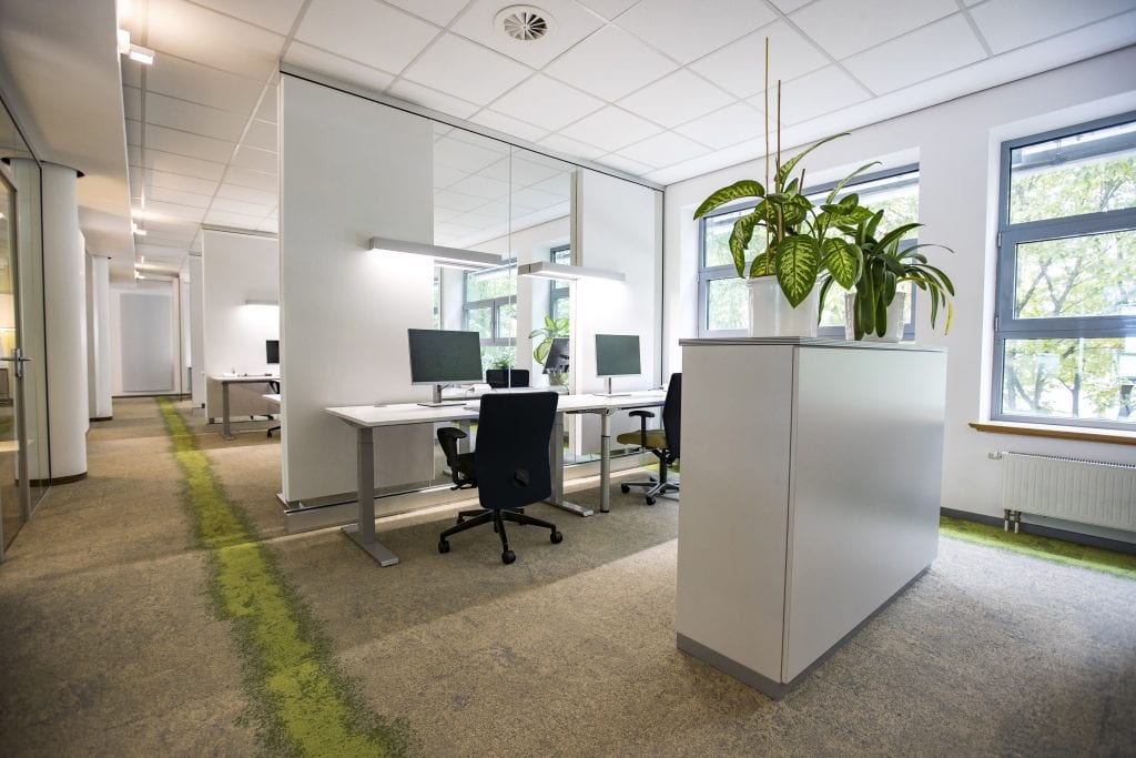 Schreibtische mit Monitoren und Stühlen sind in einem hellen, modernen Büro mit Pflanzen auf Trennwänden angeordnet. Große Fenster sorgen für viel Tageslicht und ein mit grünem Teppich ausgelegter Weg führt durch den Raum.