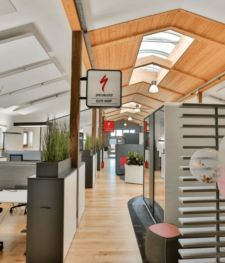 Büro mit moderner Ausstattung, Pflanzen und Specialized Elite Shop Zeichen.