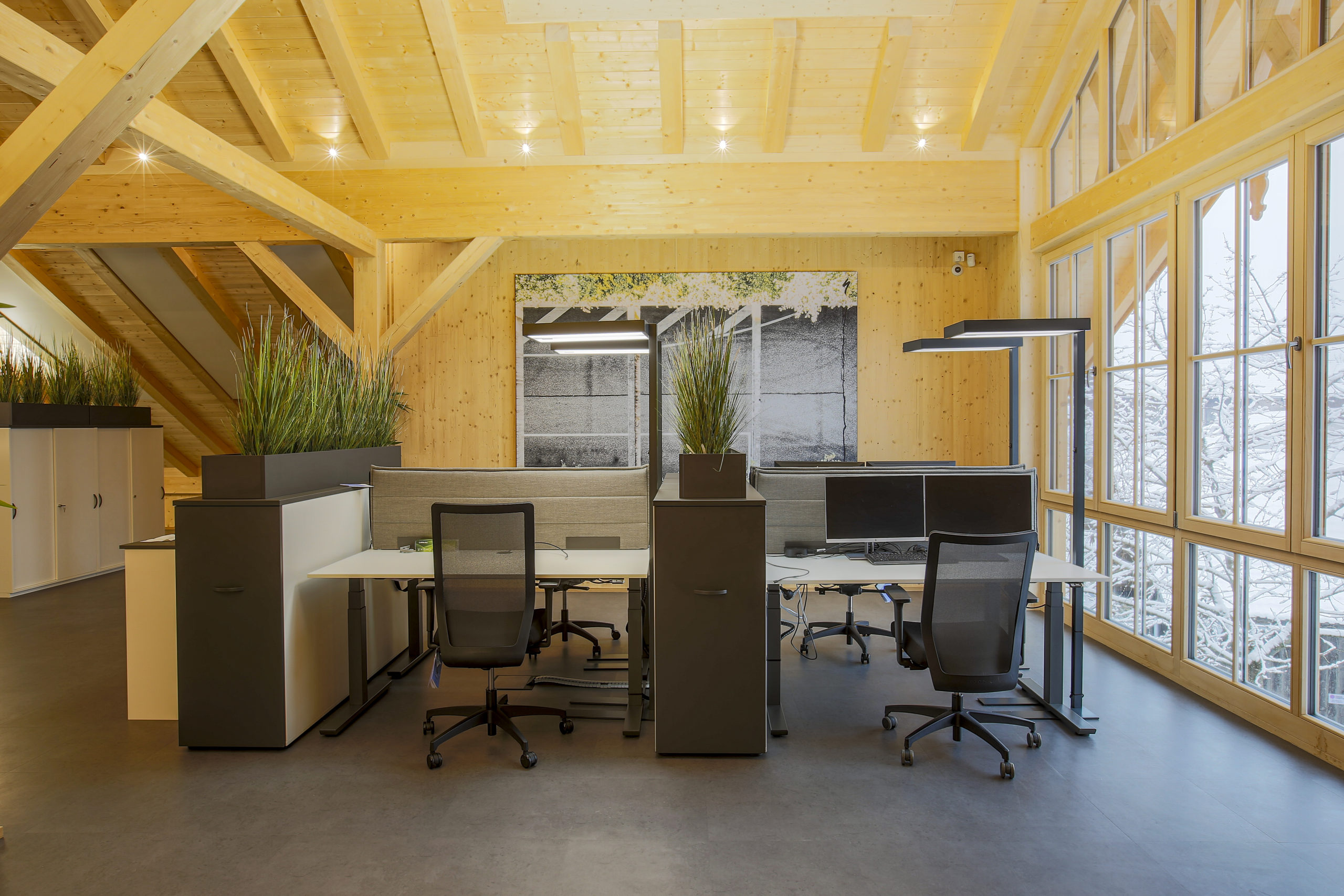 Modernes Büro mit Holzdecke, Schreibtischen und großen Pflanzenabtrennungen.