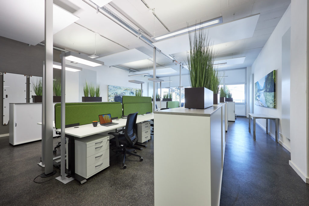 Schreibtische mit Computern und grünen Trennwänden in modernem Büro, Pflanzen, viel Tageslicht.