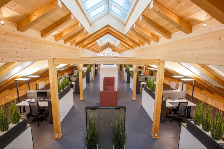 Modernes Büro mit Holzbalkendecke, Trennwänden, Pflanzen und Oberlichtern.