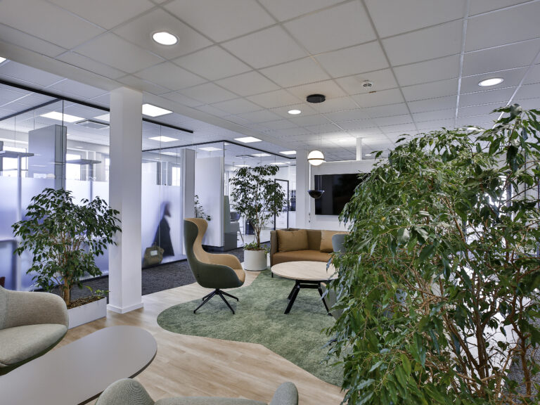 Moderne Bürolounge mit grünen Sesseln, Holzboden, Pflanzen und Glaswänden mit Milchglas.