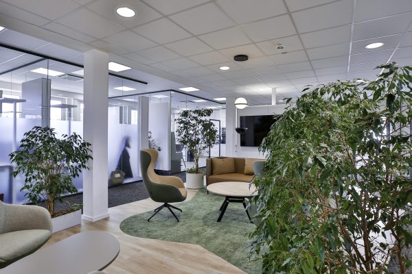 Moderne Bürolounge mit grünen Sesseln, Holzboden, Pflanzen und Glaswänden mit Milchglas.