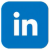LinkedIn Logo Icon