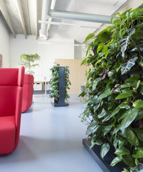 büro begrünung büro begrünung